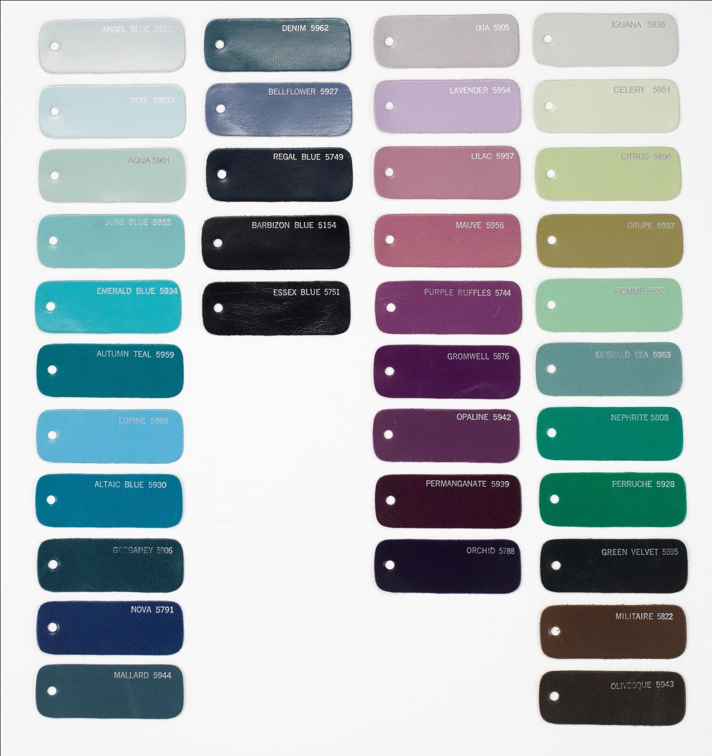 Capezio Color Chart