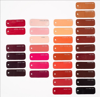 Capezio Color Chart